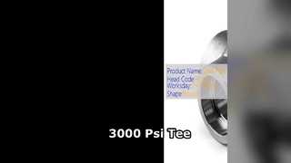 3000 Psi Reduceer-T-stuk Hogedruk Industrieel