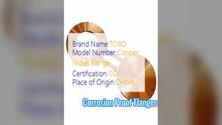 Brillenflenzen Koper Nikkel 90/10 Gesmeed