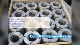 Cui 70 0 SW Flange Forged ASME B6  Cl 0 Ready