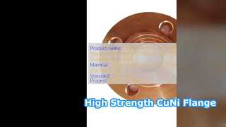 C71500 70 30 CuNi WNRF-flens Klasse 1500 Hoge sterkte
