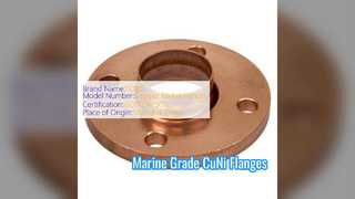 Duurzame CuNi 70 30 Socket Weld Flens voor maritieme systemen