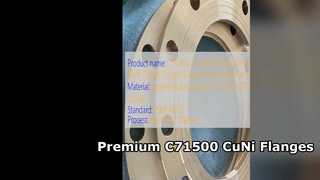 C71500 CuNi 70 30 Lasnekflens Premium gesmede kwaliteit