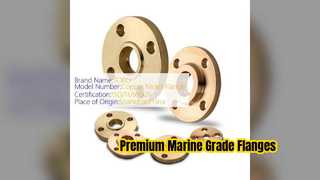 Duurzame CuNi 70 30 Socket Weld Flens voor maritieme systemen