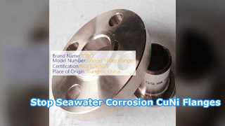 CuNi 70 30 gesmede flens zeewater corrosiebestendig