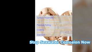 CuNi 90 10 Lasnekflens Zeewater Corrosiebestendig
