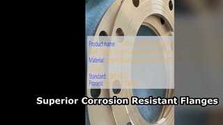 C71500 CuNi 70 30 Lasnekflens Oplossing met hoge sterkte