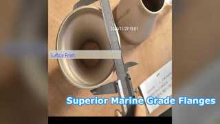 Duurzame Cui 70 0 maritieme kwaliteit flenzen ASME B6